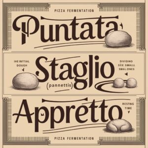 estampas sobre etapas de fermentação de pizzas